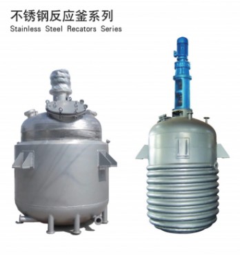 stainless steel reactor