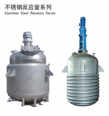Stainless steel reactor